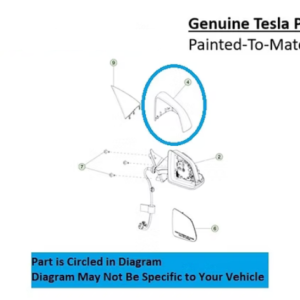 Painted 2020-2025 Tesla Model Y Side Mirror Cover | Genuine OEM