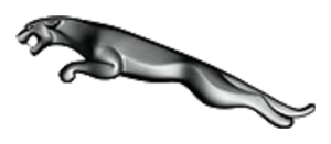 Painted Jaguar parts