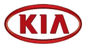 Painted Kia parts